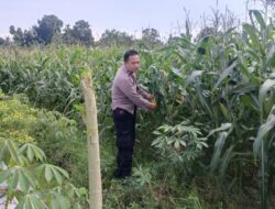 Silaturahmi Kamtibmas dan Pangan: Peran Polisi di Desa