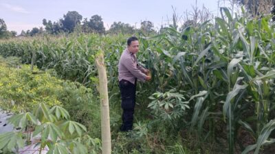 Silaturahmi Kamtibmas dan Pangan: Peran Polisi di Desa