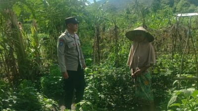 Sinergi Polisi dan Petani: Ketahanan Pangan di Lombok Barat Diperkuat