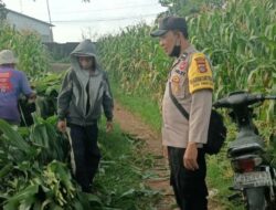 Polri Bersama Petani Wujudkan Ketahanan Pangan di Desa Ombe Baru