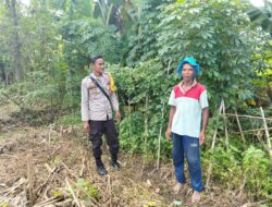 Polri Kawal Ketahanan Pangan, Warga Rumak Tanam Palawija di Pekarangan