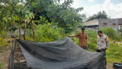 Bhabinkamtibmas Gelogor Dorong Warga Tanam Pangan di Halaman Rumah