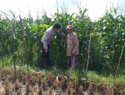 Sinergi Polri dan Warga Tingkatkan Kemandirian Pangan