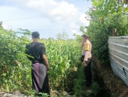Sinergi Polri dan Petani di Desa Ombe Baru, Lombok Barat