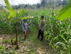 Sinergi Polri dan Petani: Kunjungan Kamtibmas di Dusun Jelateng Timur