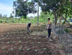 Sinergi Polri dan Petani Wujudkan Pangan Mandiri di Desa Pelangan