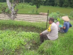 Sinergi Polri dan Petani di Kediri Lombok Barat Kuatkan Ketahanan Pangan
