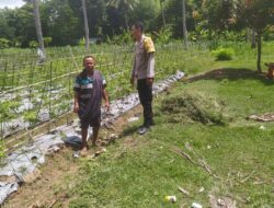 Polres Lombok Barat Galakkan Pertanian Lewat DDS Bhabinkamtibmas