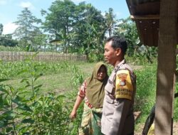 Gerakan Pekarangan Bergizi Mulai Diterapkan di Dasan Geres