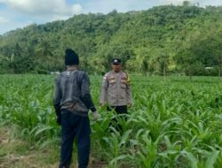DDS di Lombok Barat: Polisi Ajak Warga Optimalkan Pekarangan