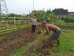 Sinergi Polri dan Warga Jagaraga Wujudkan Pangan Mandiri