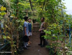 Pemuda Pesongoran Bergerak Wujudkan Kemandirian Pangan