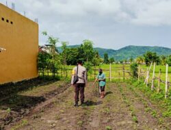 Polri Aktif di Ladang Petani Kediri, Dorong Kesejahteraan dan Ketahanan Pangan