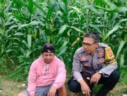 Polisi Aktif di Ladang: Wujud Komitmen Ketahanan Pangan Desa Eyat Mayang