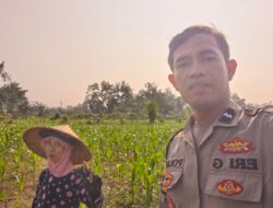 Silaturahmi Polri dan Petani Dusun Penimbung, Sinergi untuk Ketahanan Pangan