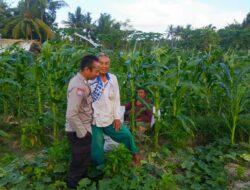 Bripka Rosyidi Motivasi Petani Kuripan Tingkatkan Produktivitas