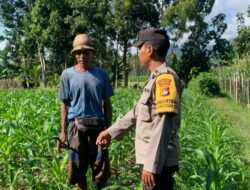 Sinergi Polri dan Petani Gerung dalam Wujudkan Ketahanan Pangan