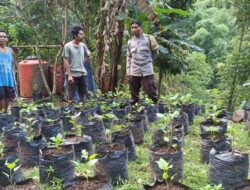 Sinergi Polri dan Warga Batulayar untuk Pekarangan Bergizi