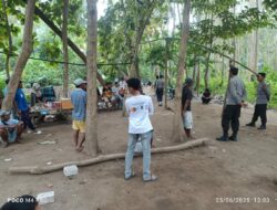 Polsek Lambu Bubarkan dan Bongkar Arena Sabung Ayam di Desa Melayu
