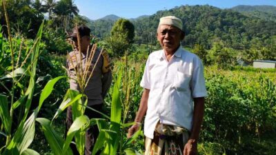 Bhabinkamtibmas Mareje Timur Kawal Produksi Jagung Demi Pangan Nasional