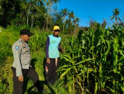 Kunjungan Humanis Polisi ke Lahan Jagung Dusun Tendaun