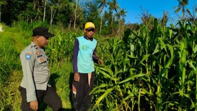 Kunjungan Humanis Polisi ke Lahan Jagung Dusun Tendaun