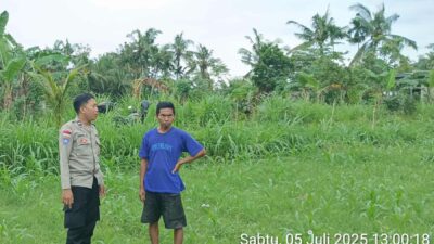 Pekarangan Jadi Lumbung Gizi: Inisiatif Polri di Dusun Sayong, Sekotong