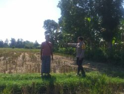 Bhabinkamtibmas Kuripan Edukasi Warga Soal Pertanian Pekarangan