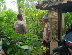 DDS Bhabinkamtibmas Sekotong, Upaya Sinergis Dukung Program Pangan Nasional