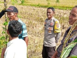 Sinergi Polri dan Warga Desa Rumak Wujudkan Swasembada Pangan dari Pekarangan