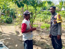 Aparat dan Warga Bersinergi Wujudkan Ketahanan Pangan di Desa Rumak, Kediri