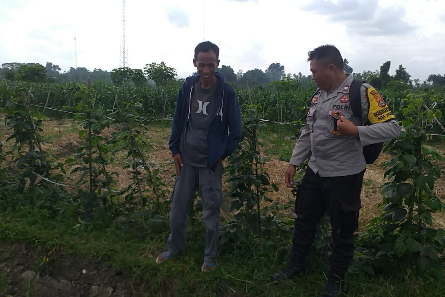 Ketahanan Pangan Dimulai dari Desa, Inisiatif Bhabinkamtibmas di Dusun Beremi Kuripan