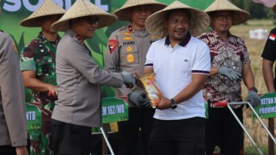 Gerakan Nasional Jagung: Dusun Lemokek Daye Jadi Lokasi Strategis Penanaman Serentak