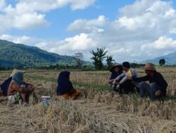 Gerung Bergerak: Polisi Ajak Warga Tanam Jagung untuk Ketahanan Pangan