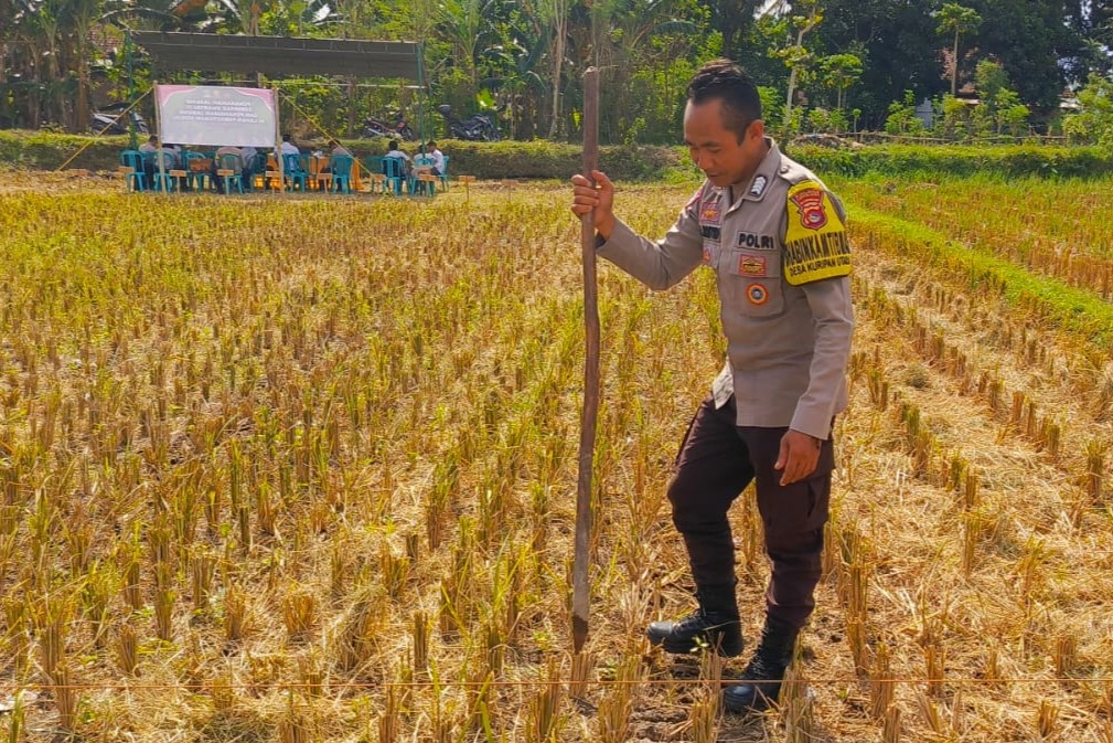 Kunjungan Bhabinkamtibmas Kuripan Utara, Ajak Petani Dukung Ketahanan Pangan Nasional