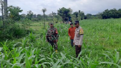 Bypass BIL II Diawasi Ketat, Polres Lobar Cegah Aksi Kriminal