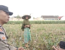 Swasembada Pangan Dimulai dari Desa: Peran Aktif Polisi di Labuapi