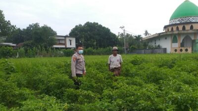 AIPTU Dodit Galakkan Tanam Pangan Bergizi di Desa Jagaraga
