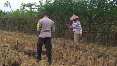 Pekarangan Jadi Lumbung Pangan: Inisiatif Humanis Bhabinkamtibmas di Desa Jagaraga