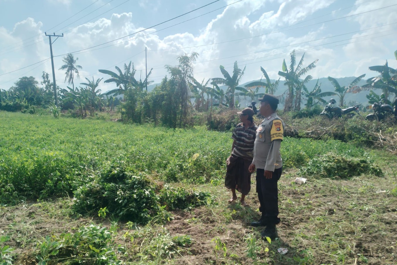 Sinergi TNI-Polri Dukung Ketahanan Pangan di Desa Taman Ayu, Gerung