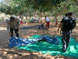 Polsek Wawo Bubarkan Kegiatan Perjudian Sabung Ayam dan Bola Adil di Desa Kambilo