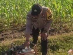 Petani Jagung Manis Karang Bongkot Dapat Dukungan Kepolisian untuk Ketahanan Pangan