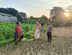 Polri dan Petani Bersinergi Jaga Pangan Nasional di Kuripan Lombok Barat