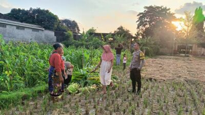 Polri dan Petani Bersinergi Jaga Pangan Nasional di Kuripan Lombok Barat