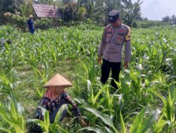 Kolaborasi Polisi dan Petani di Dusun Due Pelet, Wujudkan Kemandirian Pangan Lokal