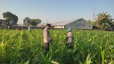 Bhabinkamtibmas Desa Kuranji Dorong Warga Manfaatkan Lahan Kosong untuk Ketahanan Pangan