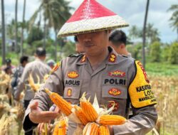 Dukung Asta Cita Presiden, Polres Lombok Utara Sukses Gelar Panen Raya Jagung di Kayangan