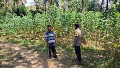 Polsek Sekotong Ajak Warga Desa Pelangan Wujudkan Pekarangan Pangan Bergizi