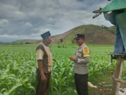 Bripka Heri Laksanakan Pemantauan Lahan untuk Perkuat Ketahanan Pangan Masyarakat