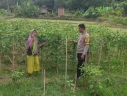 BHABINKAMTIBMAS DESA MANEMENG LAKUKAN PENDAMPINGAN PENGELOLAAN PEKARANGAN PANGAN BERGIZI
